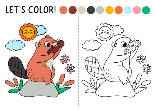 Forest coloring page for children with beaver sitting on stone. Vector wild nature outline illustration. Color book with colored example. Drawing skills printable worksheet with woodland animal