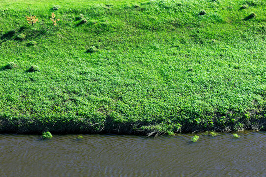 Summer Riverbank with Lush Green Grass and Calm Water