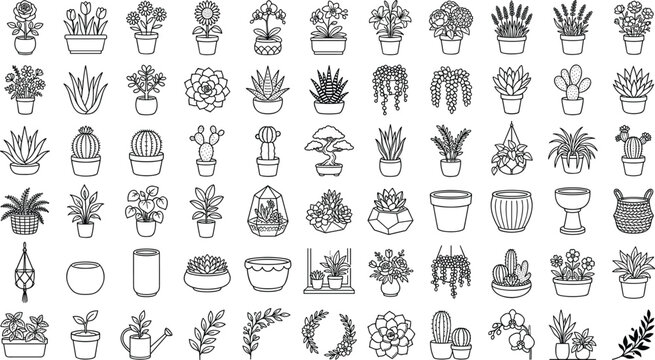 Botanical spreadsheets vector graphic template showcasing arid succulents potted flower arrangements and minimal plant cultivation outlines