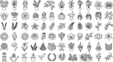 Floral arrangements vector graphic package showcasing arid vegetation wild shrub species and perennial herb contours © MD