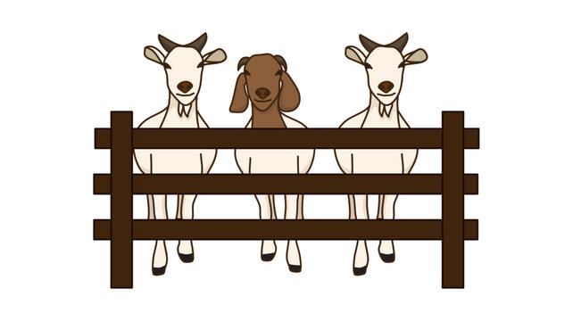 Cartoon illustration of three cute goats standing behind a wooden fence with illustration livestock agriculture domestic barnyard character standing grassland