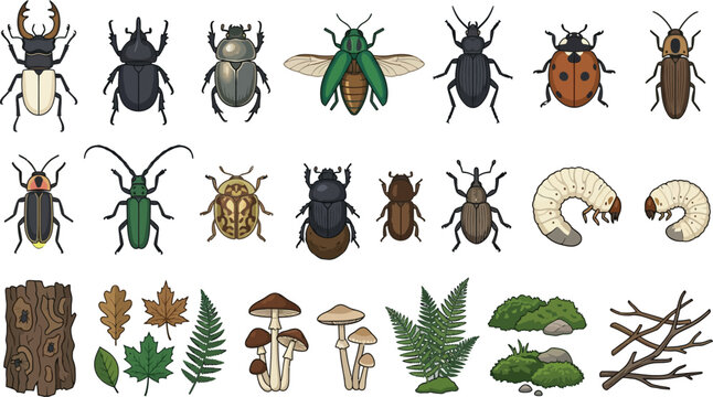 Vector set of various beetle species icons, grub larvae, and forest nature elements in flat design style