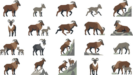Obraz premium Vector set of mountain goat icons, wild ibex species, and kid poses in flat design style