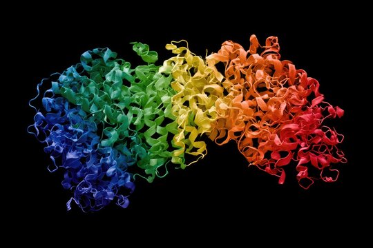 Colorful, intricate protein structure with a rainbow gradient against a black background