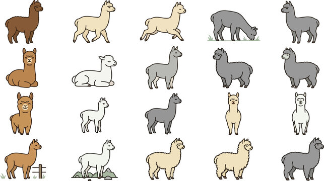 Vector set of cute alpaca and llama icons with various character poses in flat design style