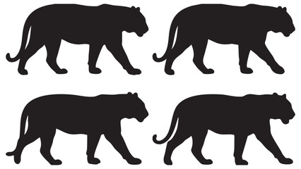 Tiger silhouettes in motion black shapes against a white background © MDMEHEDI