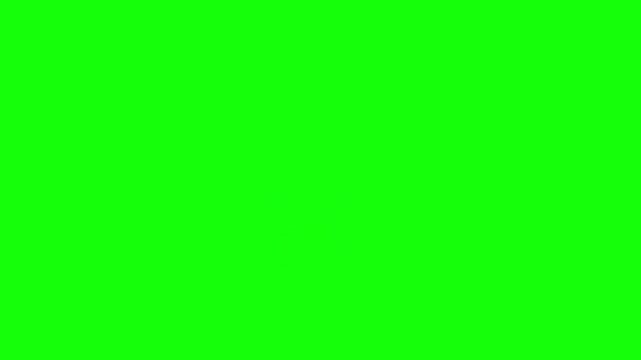 3D brown horse trotting on green screen. Realistic animated stallion model for compositing and motion graphics.