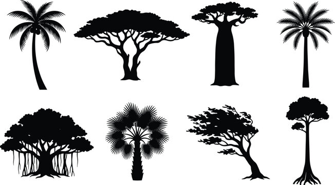 Tropical and Exotic Tree Silhouette Collection with Palm Baobab and Banyan Designs