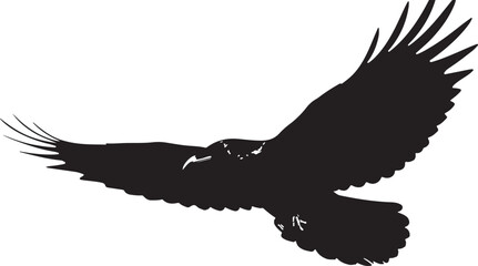 Obraz premium A detailed black vector silhouette of an eagle in mid-flight with outstretched wings isolated on a white background.