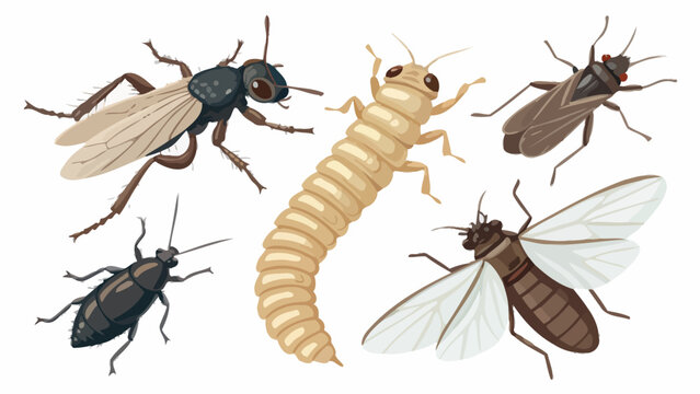 Collection of various insects and larvae on a white background with entomology wildlife creatures specimen collection crawling ecosystem diversity entomological research evolution