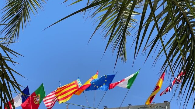  International flags waving in wind near palm trees. 4k