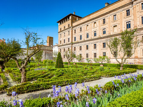 Palazzo Ducale's historic garden in Mantova, Italy, featuring Renaissance architecture, meticulously sculpted hedges, olive trees, and vibrant blue irises blooming under a clear sky