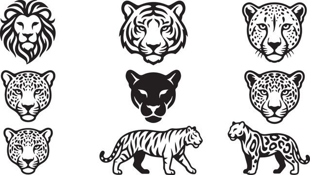 Majestic big cat collection lions tigers leopards and panthers in black and white
