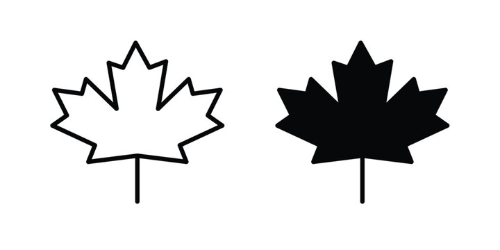 Maple leaf icon vector graphic series