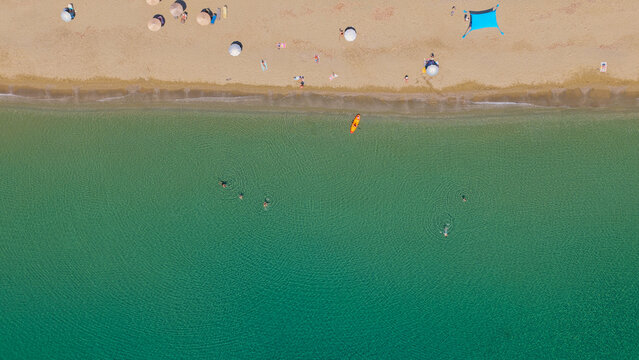 Sandy beach coastline featuring people sunbathing and swimming in the clear turquoise ocean from an overhead perspective, creating a serene summer vacation scene