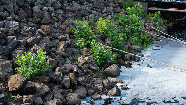 Riprap stones and green vegetation lining a riverbank for erosion control and environmental engineering protection.