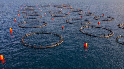 Circular aquaculture cages with orange buoys floating on the expanse of the deep blue ocean, representing sustainable seafood production and modern fish farming practices © Nasos Zovoilis