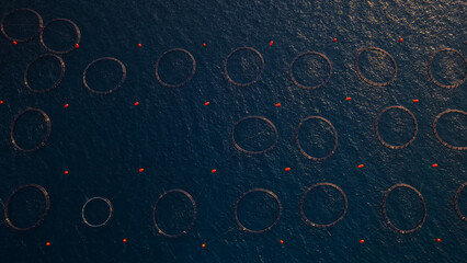 Offshore aquaculture facility operating with multiple circular pens on the dark blue ocean, using nets and buoys for fish production and sustainable seafood industry © Nasos Zovoilis