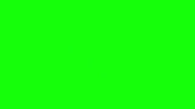 Animated Monkeys Performing Funny Acrobatics on Green Screen for Chroma Key Video Editing