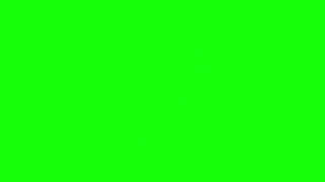 White Bunny Using Laptop and Dancing Animation on Green Screen for Chroma Key Video Editing