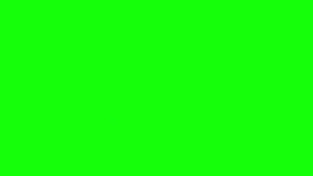 Brown Bunny Hopping and Sitting Animation on Green Screen with Watercolor Style