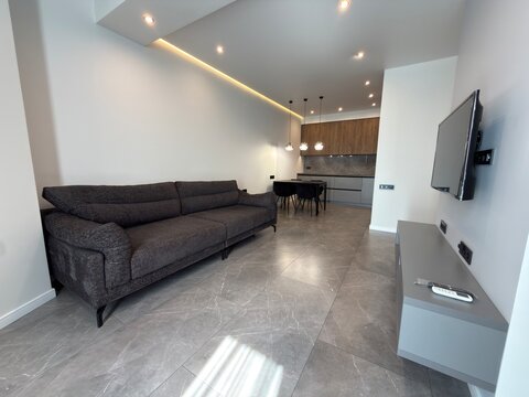 Modern Open Plan Living Room and Kitchen Interior with Gray Sofa and Dining Area