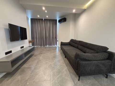 Modern Living Room Interior with Gray Sofa Wall Mounted TV and Large Curtains