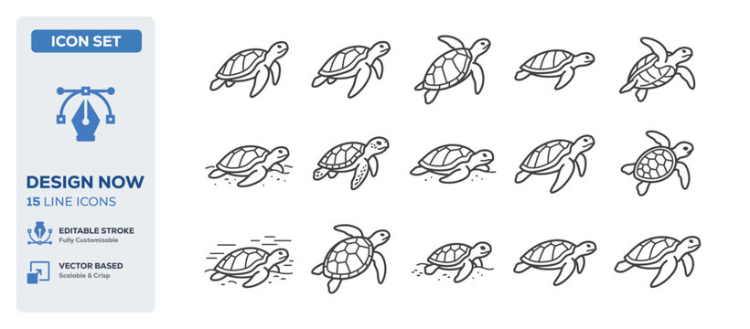 flat vector illustration line art icon bundle set design focusing on wild sea turtles aquatic biology marine ocean animals underwater swimming creatures and wildlife