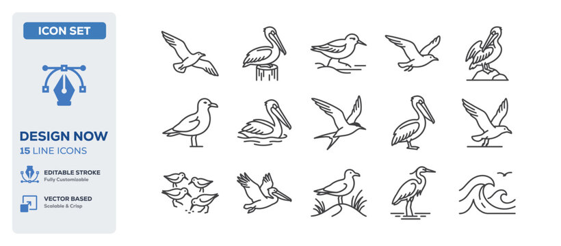 flat vector illustration line art icon bundle set design showcasing wild flying seagulls marine nature sea gulls coastal pelicans ocean birds and nautical wildlife UI