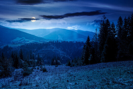 countryside mountain landscape in autumn. weathered grassy field on a hill near forest. rural night background. alpine highland of ukraine in full moon light