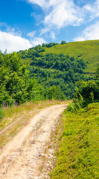 hiking path in carpathian mountains. alpine nature of transcarpathia in summer. ukraine mountain landscape for travel. views of borzhava ridge