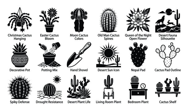 Set of cactus and desert plant icons depicting various species gardening care and desert environment suitable for botanical illustrations or educational graphics