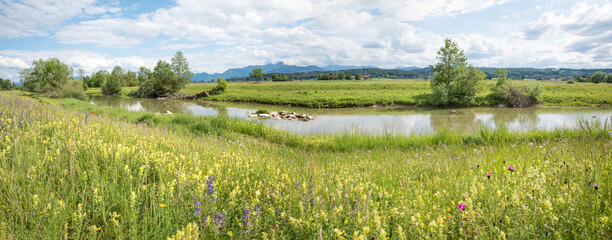 wildflower meadow at the riverside Mangfall, with alps view. spring landscape bavaria © SusaZoom
