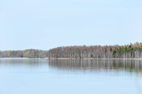 Calm lake with clear reflections of a forest shoreline in early European spring, with bare and lightly budding trees under a pale blue sky