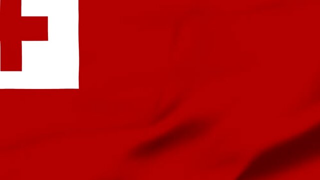  Tonga Waving Flag Animation with Realistic Silk Texture Loop, Waving flag of Tonga a national symbol of the Pacific island nation fluttering in the wind