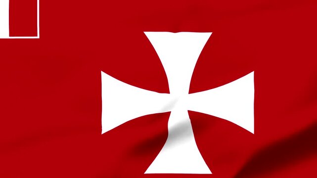 Flag of the Knights Templar Animated 4k video for you