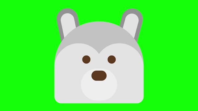 Cute cartoon husky dog face animation on green screen background.