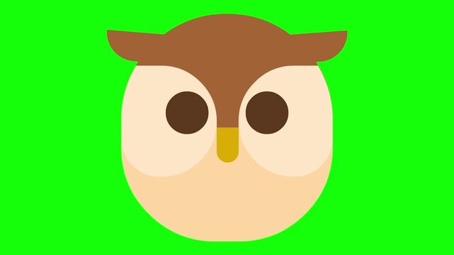 Cute cartoon owl face animation on green screen background.