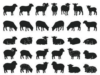 Sheep Silhouettes Collection: Various Poses and Breeds © KunFhayakun