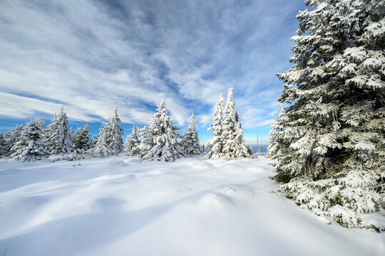 Beautiful winter landscape with frozen trees