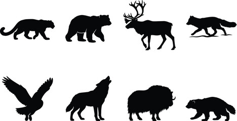 Obraz premium Wildlife Animal Vector Silhouette Set with Bear Wolf Fox Eagle Reindeer Bison Wolverine and Big Cat Isolated on White Background