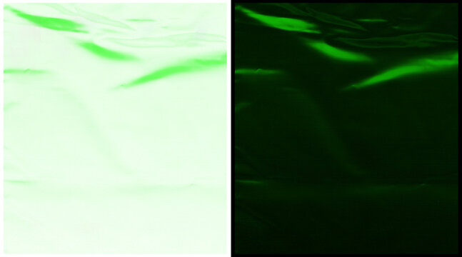 Fluorescent green microscopic cells under laser scanning confocal microscopy, biological imaging of cellular structures, scientific laboratory research