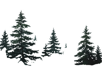 Fototapeta premium traditional watercolor wet-on-wet technique showing dark pine silhouettes receding into dense fog against white copy space, conveying isolated nature mystery concept