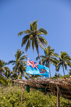 Fiji Flag Framed by Palm Trees
