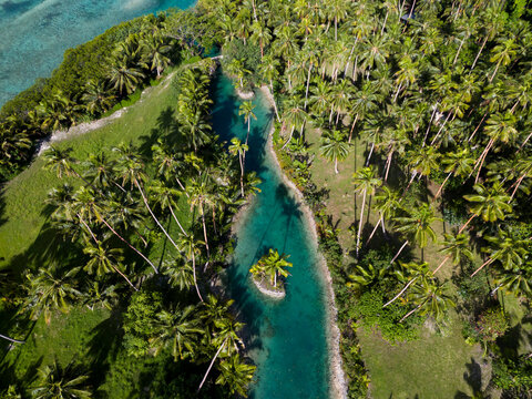 Aerial View of a Winding Tropical Channel