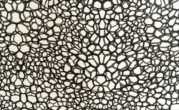 Monochrome Cellular Pattern Wall Panel with Large Organic Cells