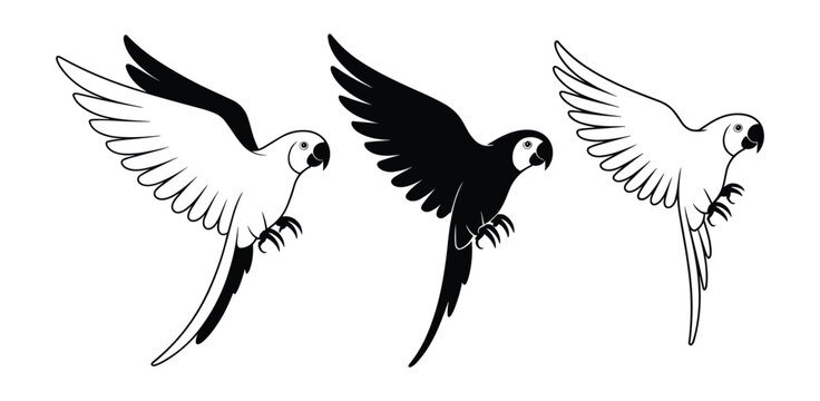 Parrot Flight Collection: A collection of three stylized parrot illustrations in black and white, depicting parrots in mid-flight, showcasing their wings and avian grace.