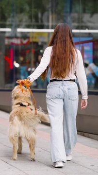 Young woman with long brunette hair walking her golden retriever dog on a leash. Back view of the pet owner and her canine companion on a city street