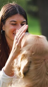 Beautiful young caucasian woman smiling while petting her cute golden retriever in a park. Warm sunlight creating a beautiful connection