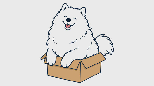 Fluffy White Samoyed Dog Sitting Comfortably Inside Tiny Cardboard Box Showing Cute Cozy Behavior